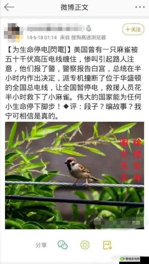 655fun.黑料热点事件-黑料不打：网络热点事件的真相揭秘