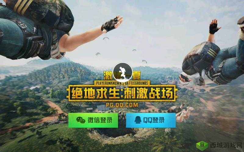 国外 B 站刺激战场直播：精彩不断等你来