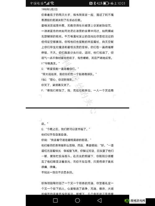 双胞胎一前 一后夹心饼干双子全攻略：实用指南
