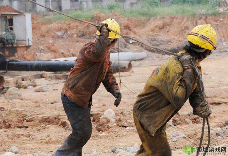 中国 VPSWIOWS 野外农民工：探索奇妙的未知世界