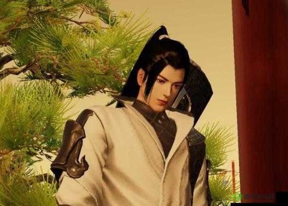 薛衣人施家庄遇,剑客第境界之谜——未解的武学传奇新篇章