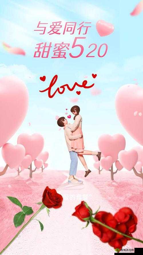 JAVAPARSERHD 夫妻:相伴同行的爱情之旅