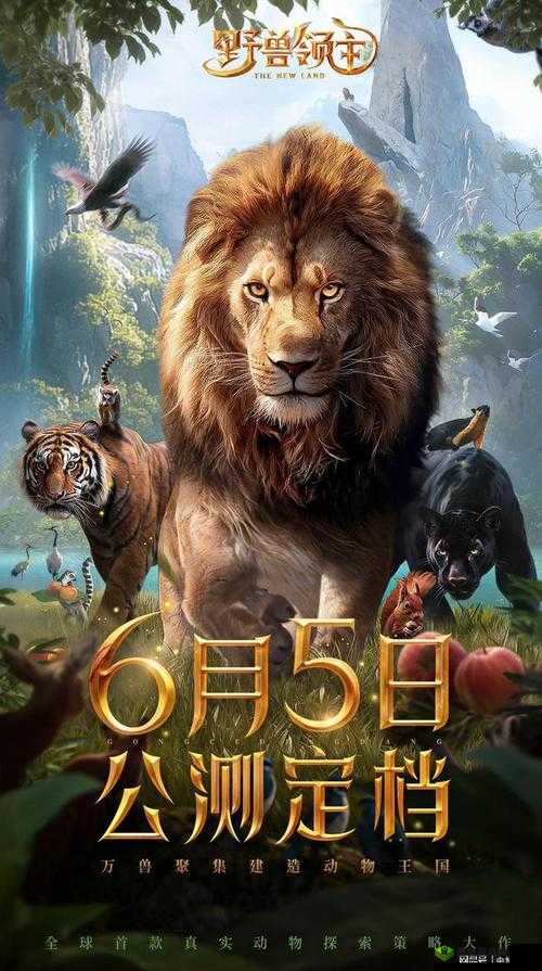 5 人轮换怎么玩：详细玩法与策略解析