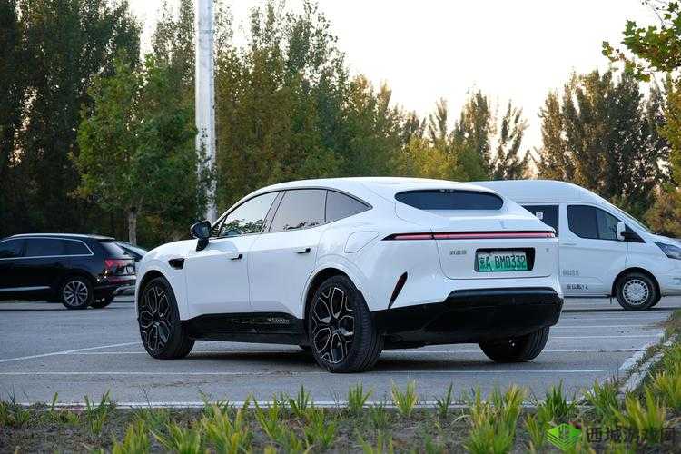 深度探究欧美大尺寸 SUV 未来发展趋势