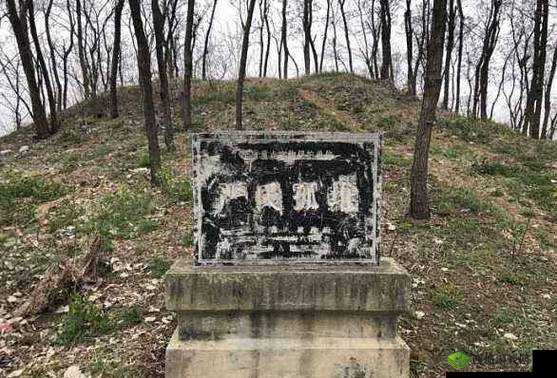 汉王纷争背景下袁绍墓的位置揭秘:袁绍墓坐标览,历史遗迹探寻之旅