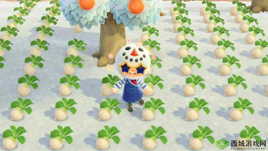 集合啦动物森友会大头菜获得方式介绍：如何获取大头菜？