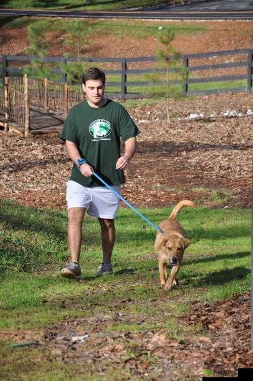 狗 Zoom 与人 Zoom 哪个更好