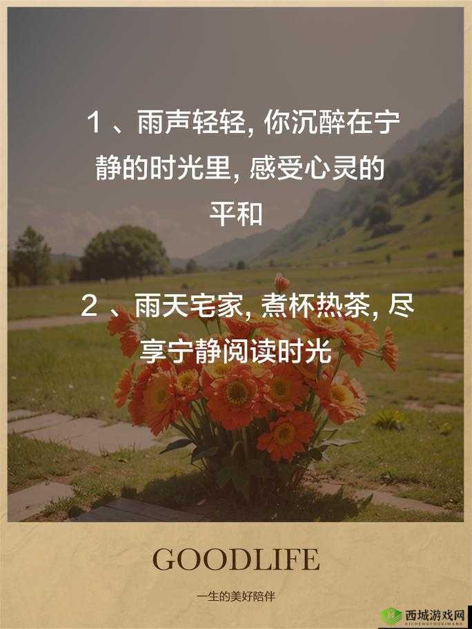 乖乖坐下来：享受片刻宁静时光