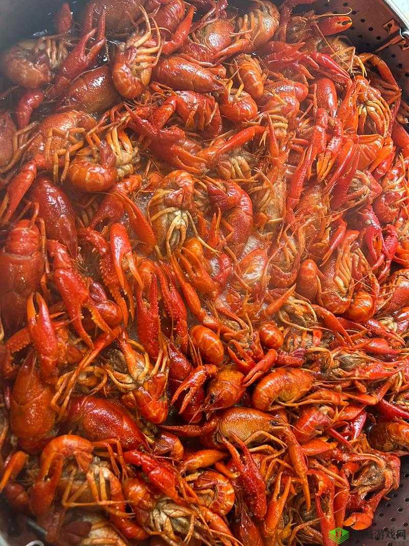 龙族幻想美食坐标大揭秘:探寻幻想中的味蕾盛宴之地