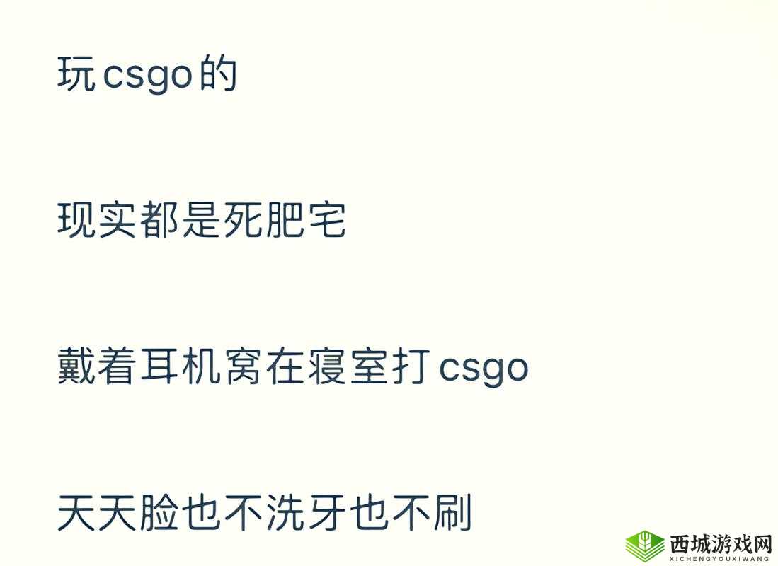 暴躁老阿姨CSGO技巧揭秘：实战要点全解析