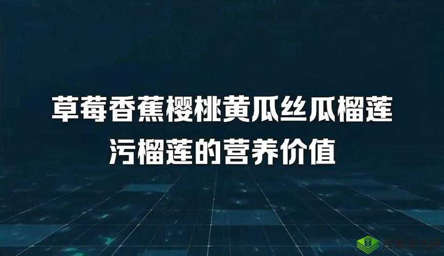 草莓榴莲黄瓜丝瓜蕾丝：蔬果与织物的奇妙组合