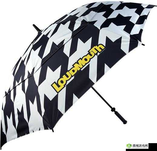 解析 JANPENSEVISA:深入了解