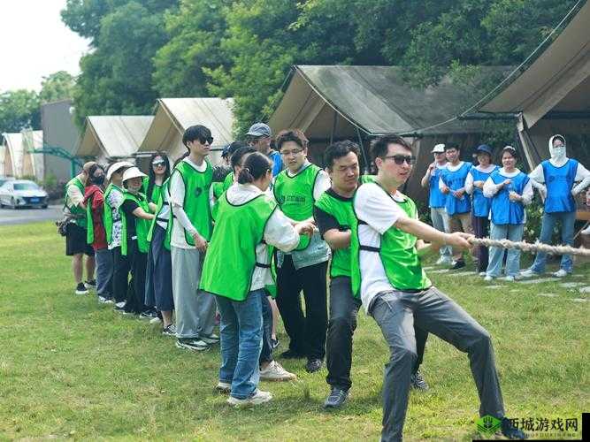 无人在线完整免费高清观看视频畅享无极限