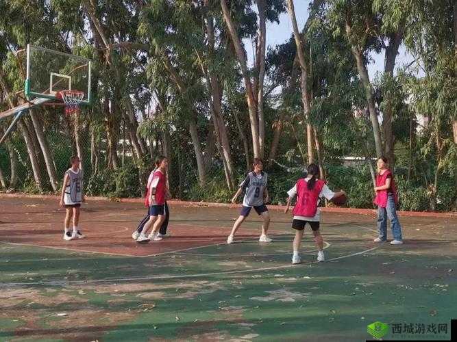 青春篮球魅力无限：玩法特色详解与乐趣探寻