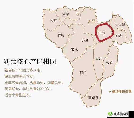 小青柑一线产区和二线产区的区别