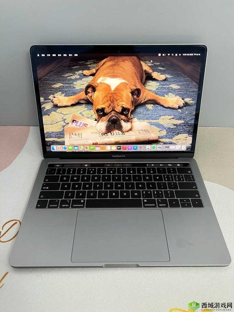 19 岁 MACBOOKPRO 欧美：青春的科技伙伴