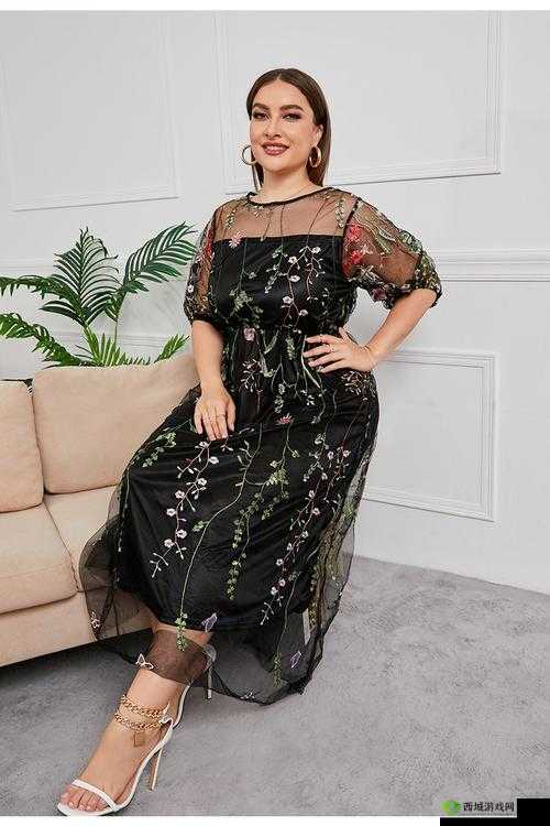 欧美风大码胖 mm 中长款连衣裙:尽显优雅魅力