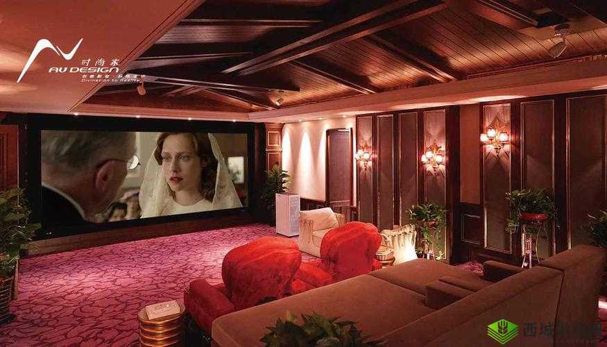 惊人-私人家庭影院 3355-极致视听盛宴