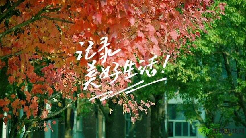 9.1 短视频 v3.6.0：记录美好瞬间