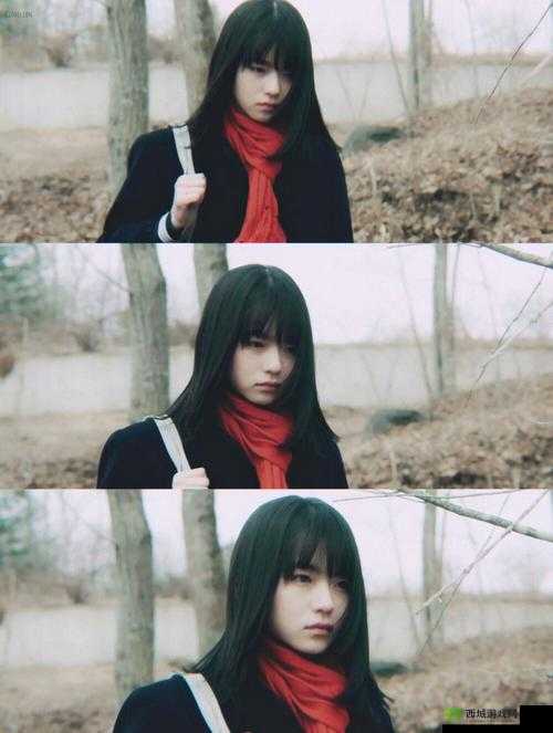 三叶草的春天：那些有关青春的记忆