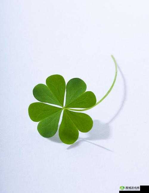 四叶草欧洲和国产区别：分析其不同之处