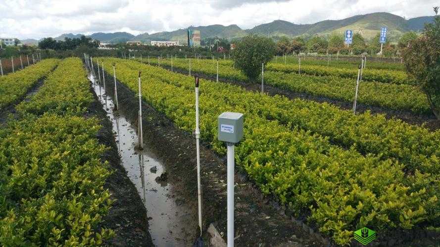 hp 公交车灌溉系统：创新的绿色科技