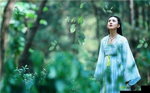 花千骨的日常生活：探索仙侠世界的精彩点滴