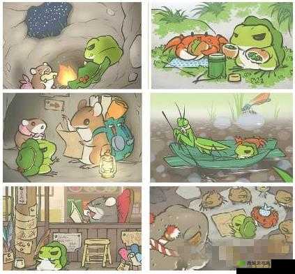 青蛙旅行被饿死？别怕，这些妙招让青蛙吃饱吃好