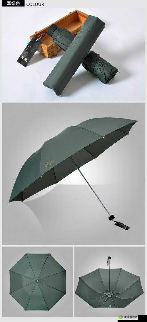 天堂伞 33188e 站在数字世界的边缘：探索未知