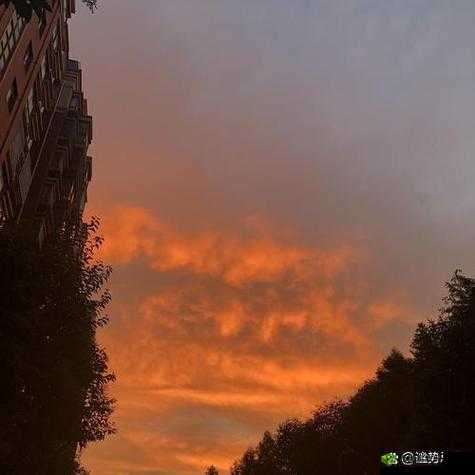 日产 MV 与欧美 MV 的区别:风格、文化与表现形式