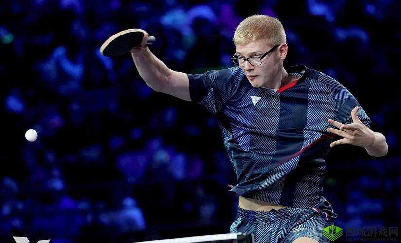 帕拉狗骑士邪恶女巫挑战攻略：专业打法指南助你轻松击败对手