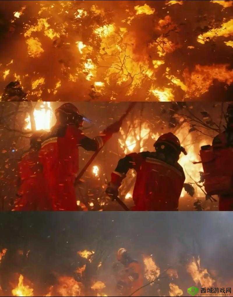 5 个消防员帮女主消火：爱的救援