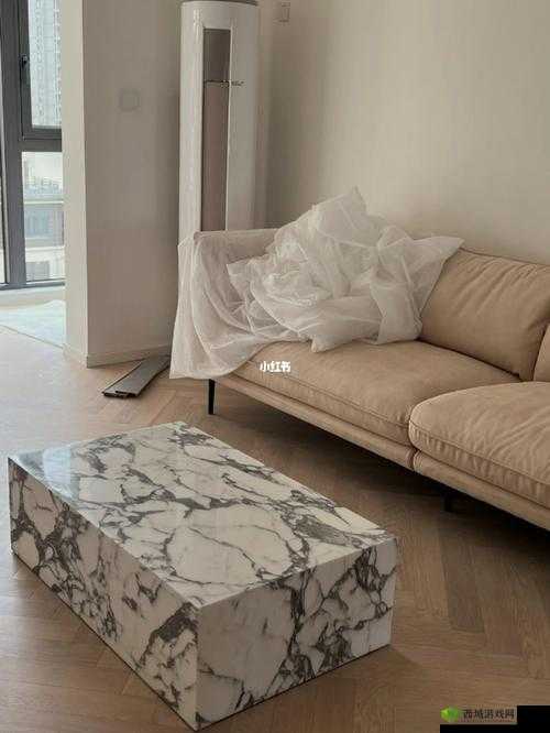 九个装修工人把我放在茶几上：为何这样做