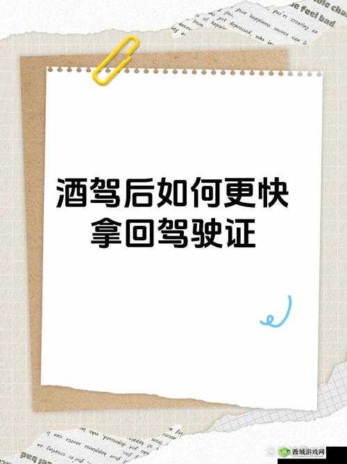 交警用小xue查酒驾文叫什么:探究背后真相
