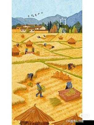 儿子耕种母亲的田:背后的故事