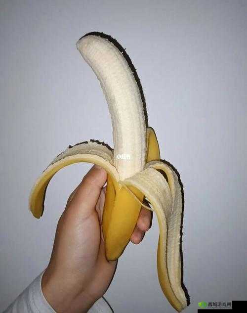 午煮香蕉小辣椒：独特的美食组合