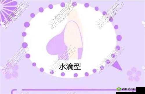 水滴型与馒头型区别解析：形态差异解读