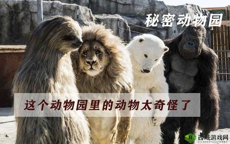 美国 ZOOm 动物园探秘:神奇的动物世界