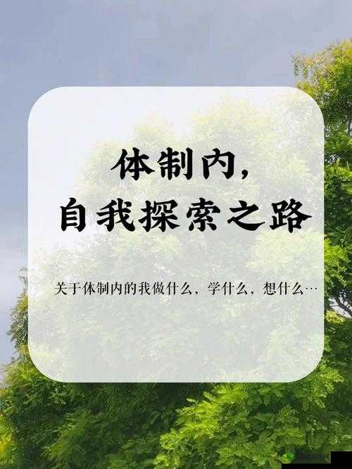 如何一支笔搞自己：探索自我的私密方式