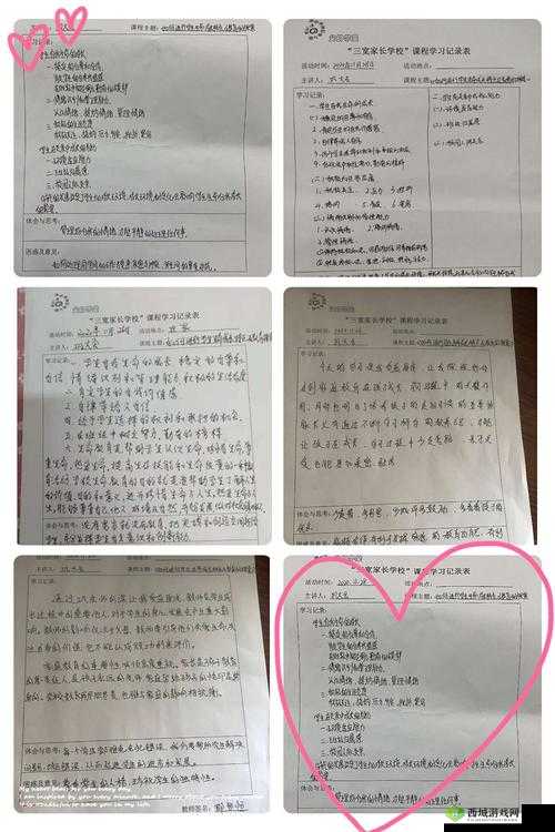 肉食教师食取报告 3HD：探索教育与人性的边界