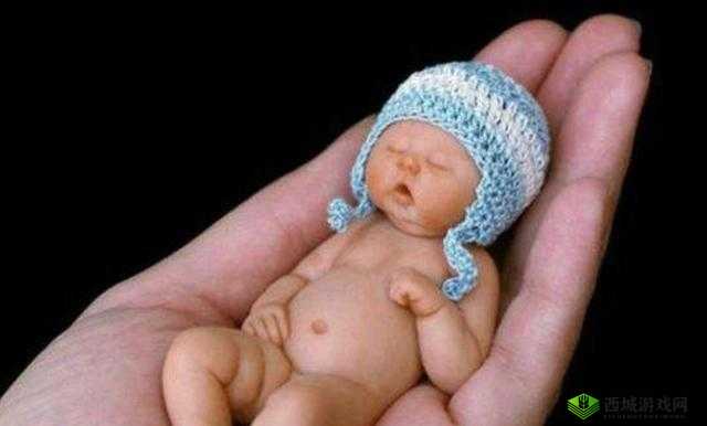 世界上最小 BB 有几个：探寻其奥秘