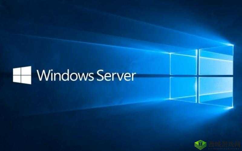 日本 Windows Server 系统相关内容