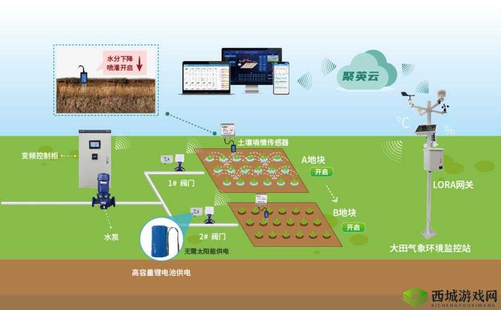 精准灌溉系统y液收集系统：创新农业的关键