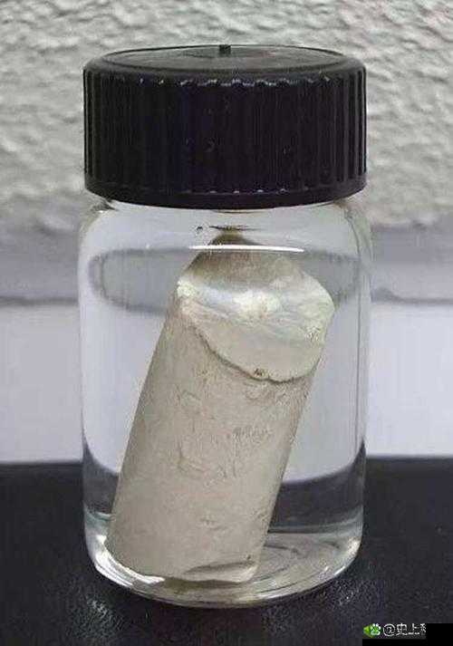 小蓝 g 钙 202:神奇的物质