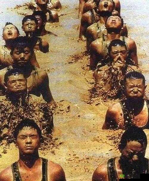 白起奇迹的诞生：无畏逆境的坚守与信任