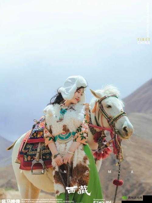 天堂草原最受欢迎角色：那片草原的闪耀之星