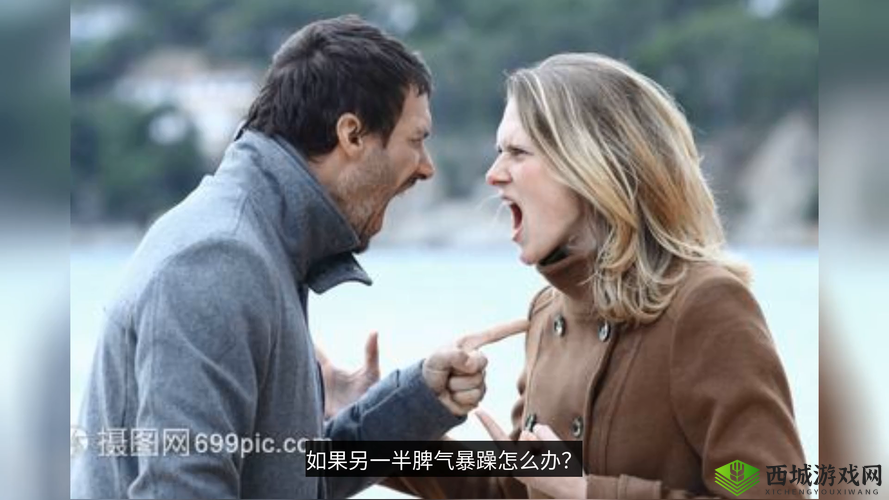 老外看暴躁老外视频：别样视角解读