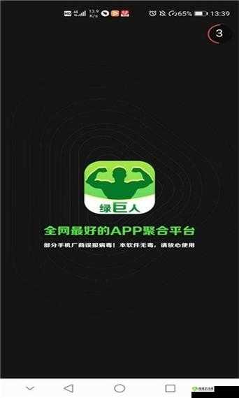 绿巨人app:功能强大的实用工具