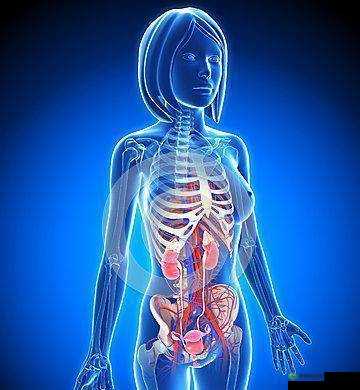 女人的哪个部位称莲花：揭秘女性身体的奥秘