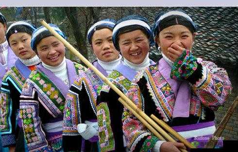 苗族 B 有啥区别：深度探究其不同之处